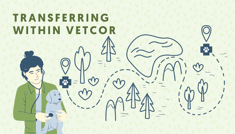 Staying in the VetCor Network Even as Life Changes