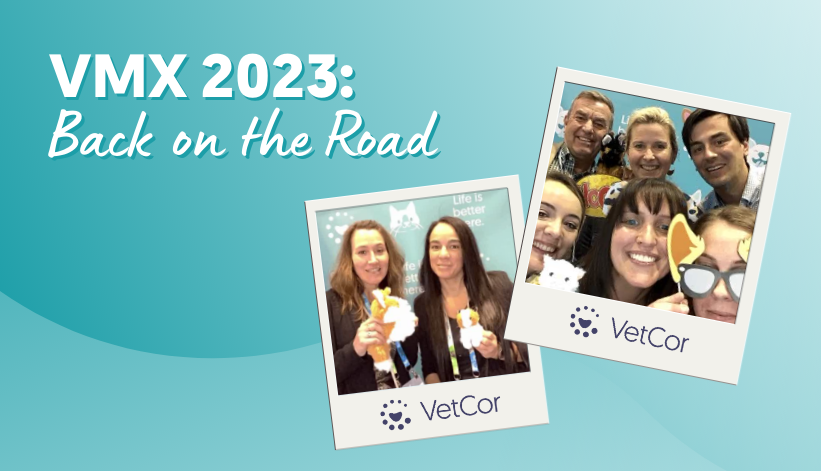 Back on the Road - VMX 2023