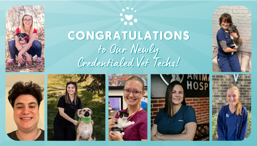 Congratulations to Our 20 Newly Credentialed Vet Techs!