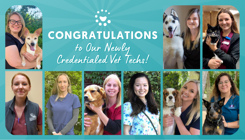 Congratulations to Our 21 Newly Credentialed Vet Techs!