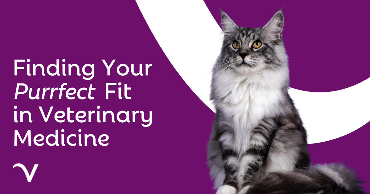 Find Your Purrfect Fit in the World of Veterinary Medicine
