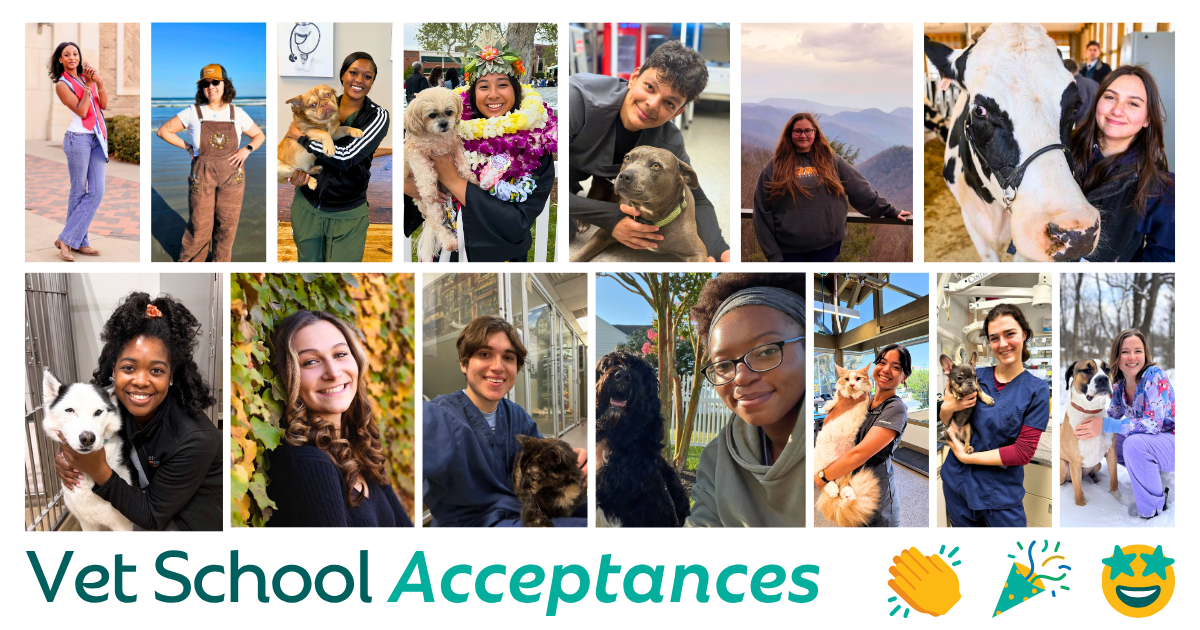 A Bright Future Ahead: Our 2026 Vet School Acceptances