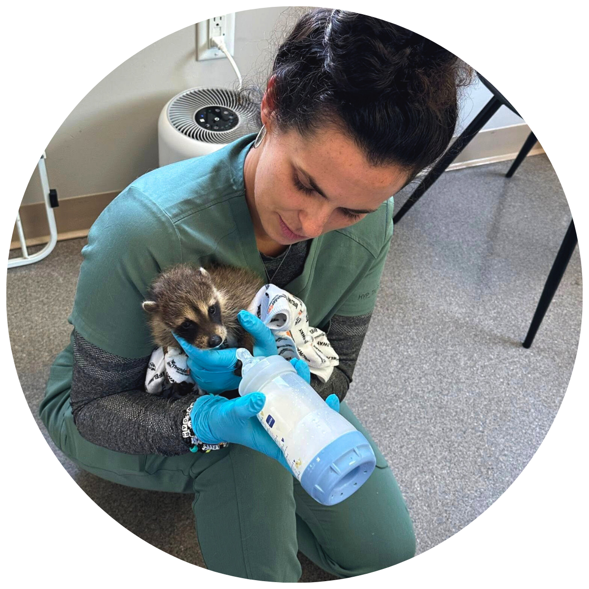 Parkway Veterinary Hospital