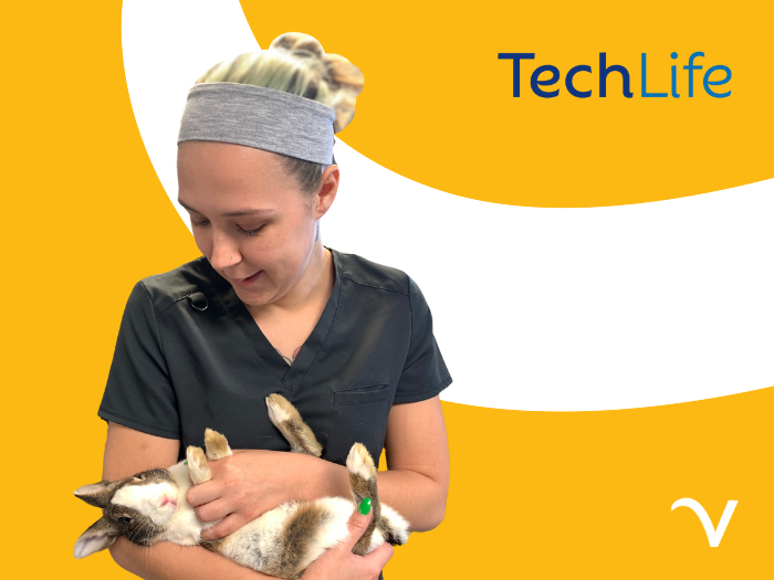 TechLife: Training for Veterinary Assistants