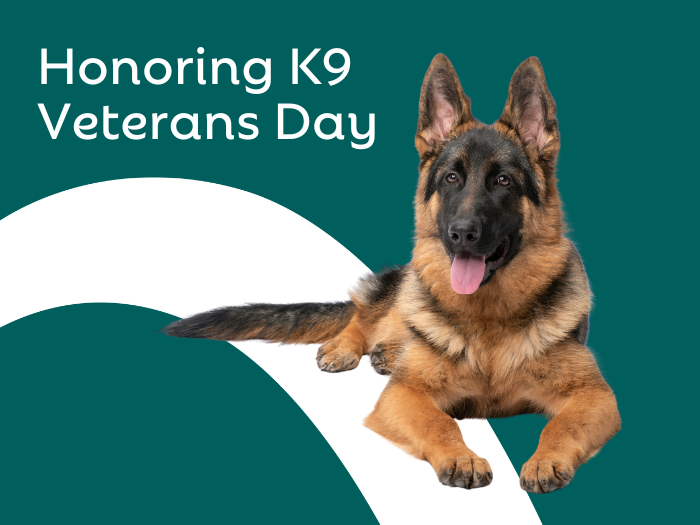 Celebrating K-9 Veterans Day