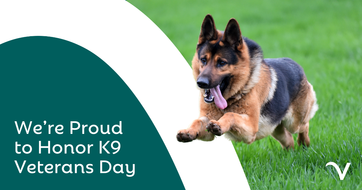Celebrating K-9 Veterans Day