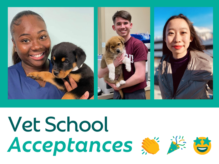 Congrats to Our Team Members Headed to Vet School in 2024