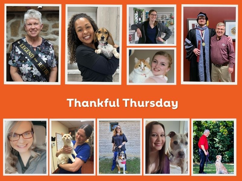 Thankful Thursday: Appreciation All Around