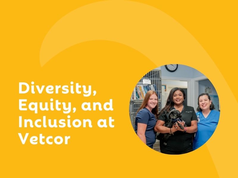 Diversity, Equity, and Inclusion at VetCor