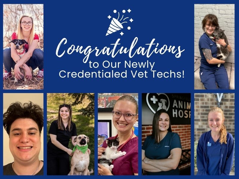 Congratulations to Our 20 Newly Credentialed Vet Techs!