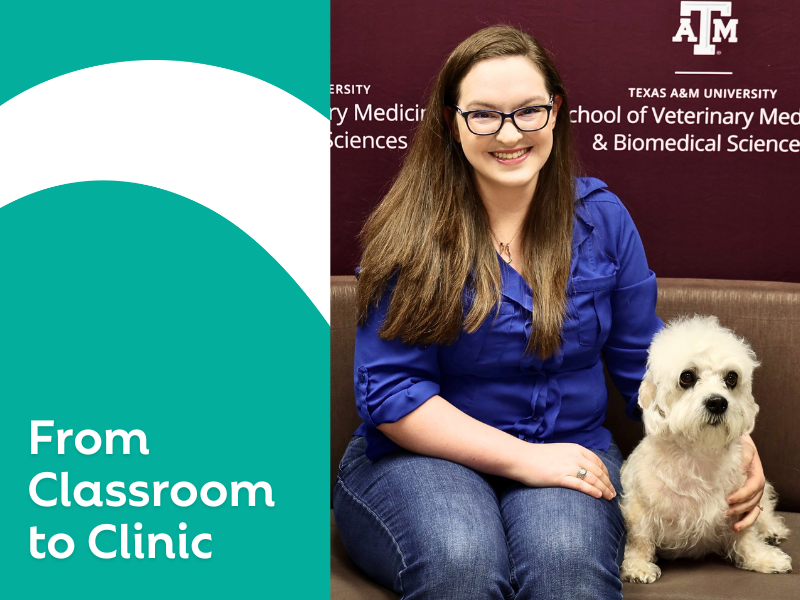 From Classroom to Clinic: A Future Veterinarian’s Inspiring Externship
