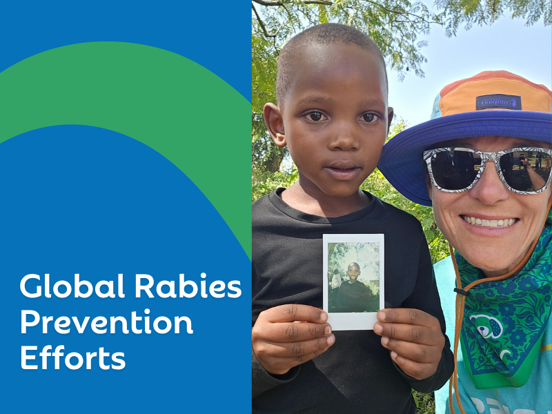 Polo Springs Veterinary Hospital Supports Global Rabies Prevention Efforts
