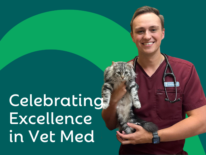 Celebrating Excellence in Veterinary Medicine