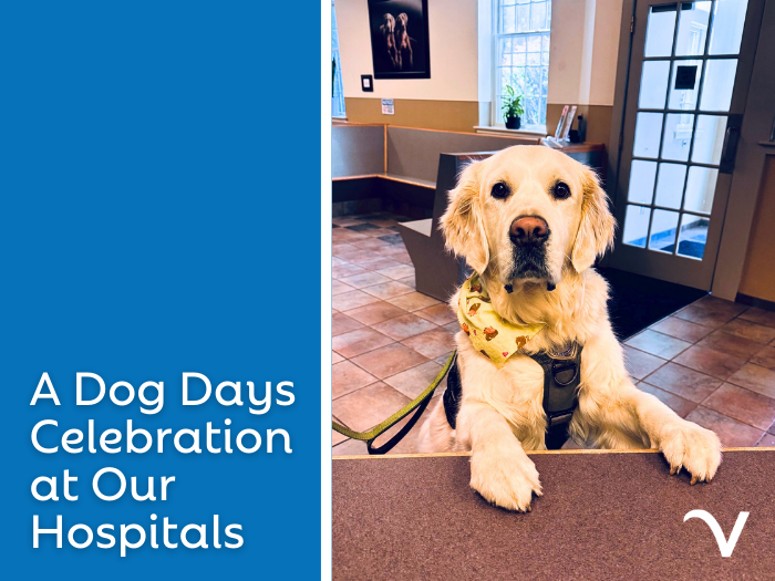 A Dog Days Celebration at Our Hospitals