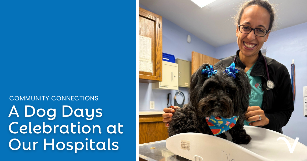 A Dog Days Celebration at Our Hospitals