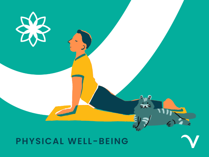Physical Well-being: A Powerful Tool for Reducing Stress in Veterinary Medicine