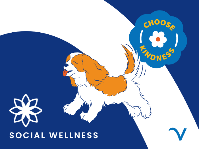 Social Wellness: Random Acts of Kindness Day 2024