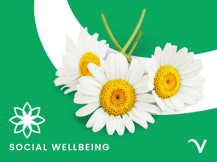 Social Wellness: Connecting Through Kindness