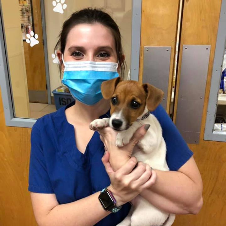 Vet Tech from Veterinary Services of Aiken - Aiken, SC