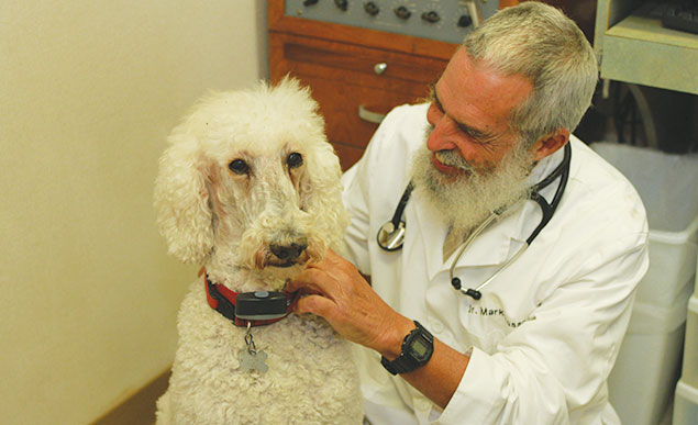 Veterinary Practice Owners 