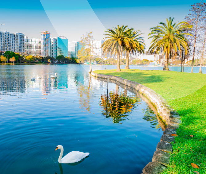 FVMA Annual Conference