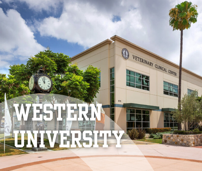 Western University VBMA Career Fair