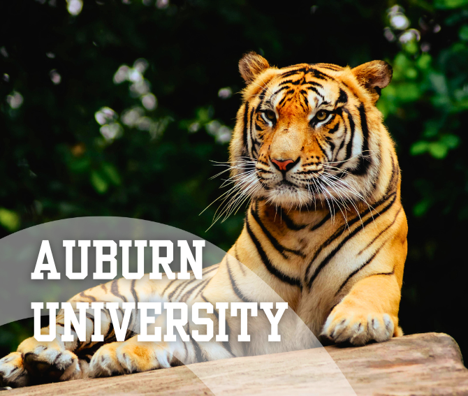 Auburn Career Connect