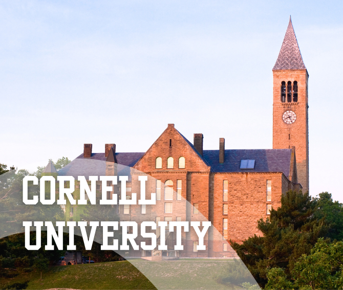 Cornell Career Connections