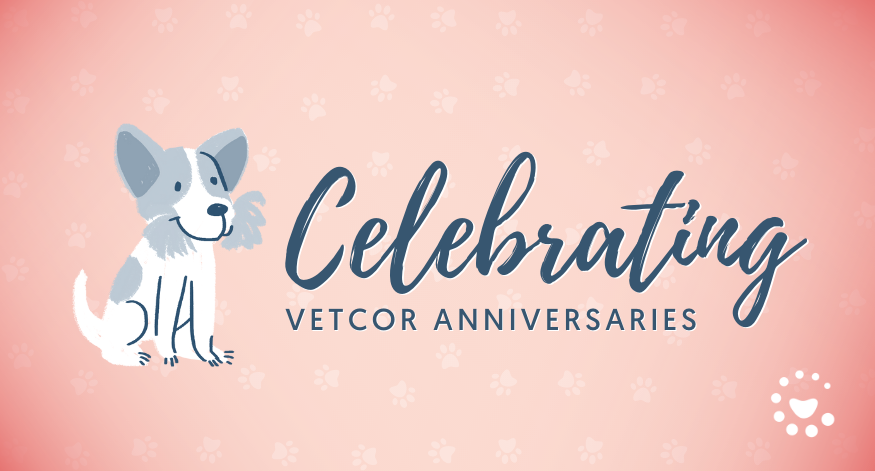 Celebrating VetCor Anniversaries