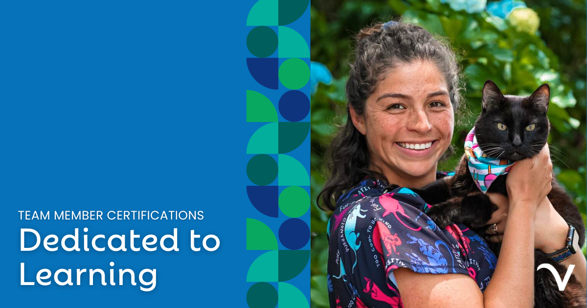 Team Member Certifications: Dedicated to Learning