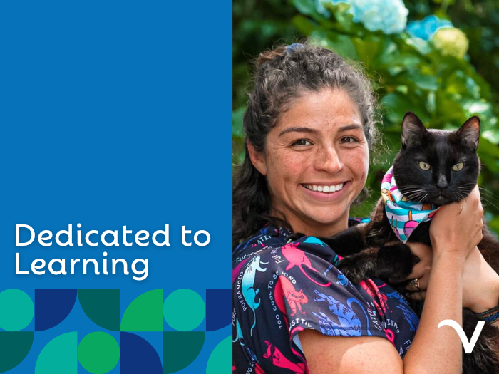 Team Member Certifications: Dedicated to Learning