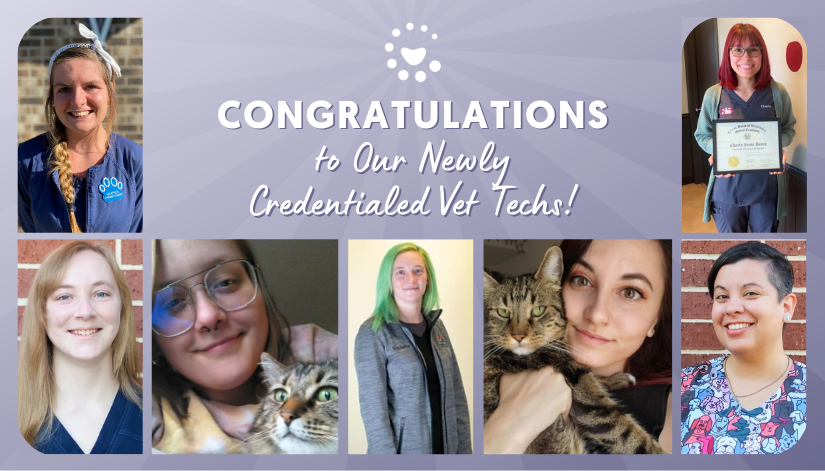 Congratulations to Our 18 Newly Credentialed Vet Techs!