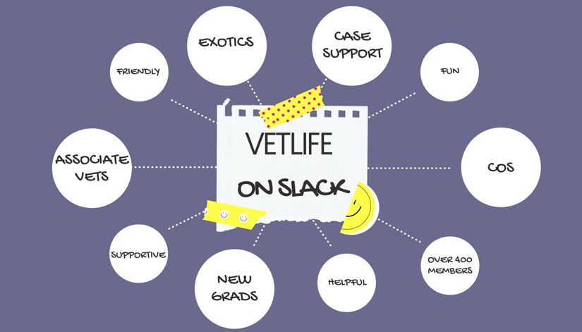 VetLife on Slack: DVMs Join the Conversation