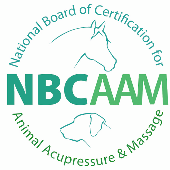 National Board of Certification For Animal Acupressure and Massage
