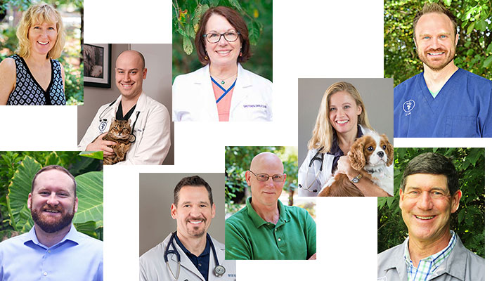 Meet Our Vet Leaders