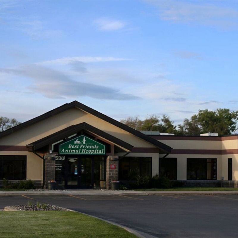 Best Friends Animal Hospital and Urgent Care, Billings, MT