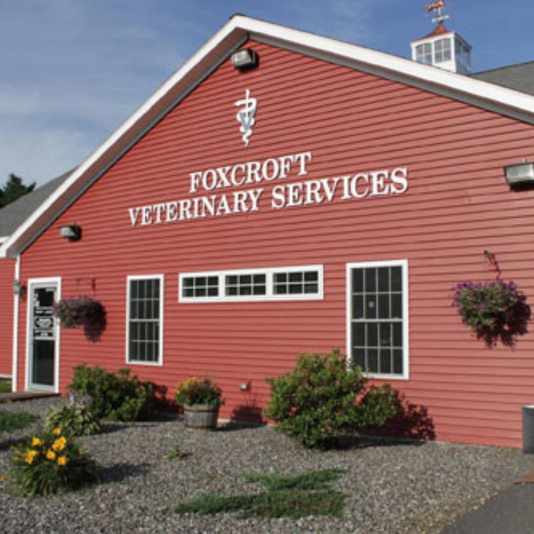 Foxcroft Veterinary Services