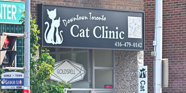 Downtown Toronto Cat Clinic, Toronto, ON