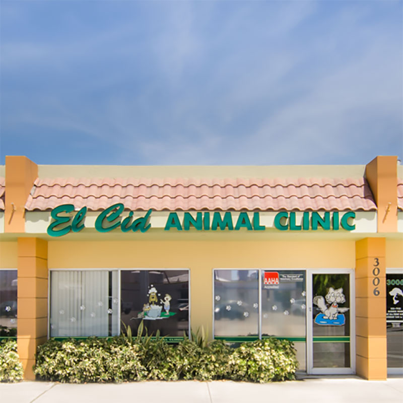 El Cid Animal Clinic, West Palm Beach, FL