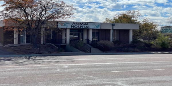Fountain Valley Animal Hospital, Security, CO