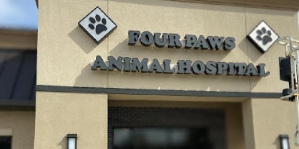 Four Paws Animal Hospital, O'Fallon, IL