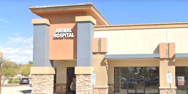 Desert Sky Animal Hospital, Glendale, AZ