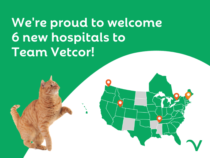 Vetcor Welcomes 6 New Hospitals