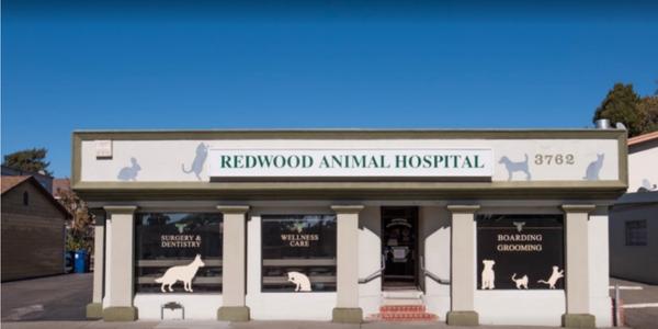 Redwood Animal Hospital, Castro Valley, CA