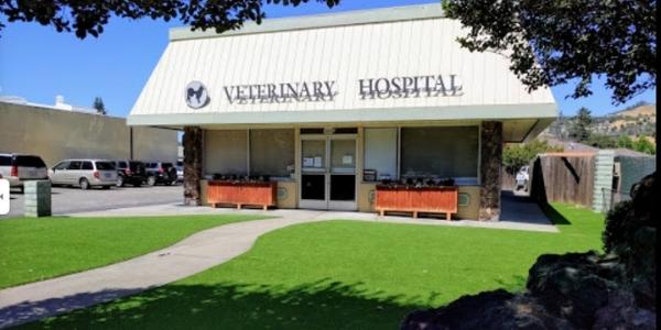 Good Samaritan Veterinary Hospital, San Leandro, CA