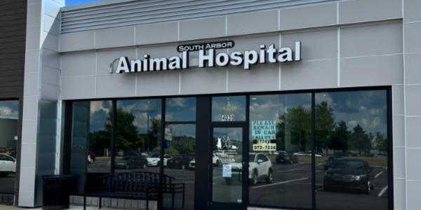 South Arbor Animal Hospital, Ypsilanti MI