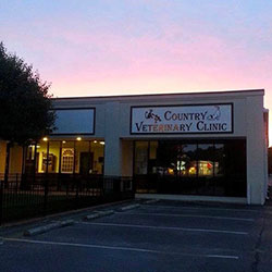 A Country Veterinary Clinic