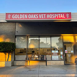 Golden Oaks Vet Hospital