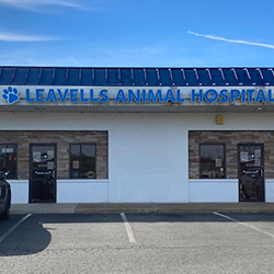 leavells animal hosp ext