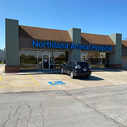 Nine More Animal Hospitals Join the VetCor Family